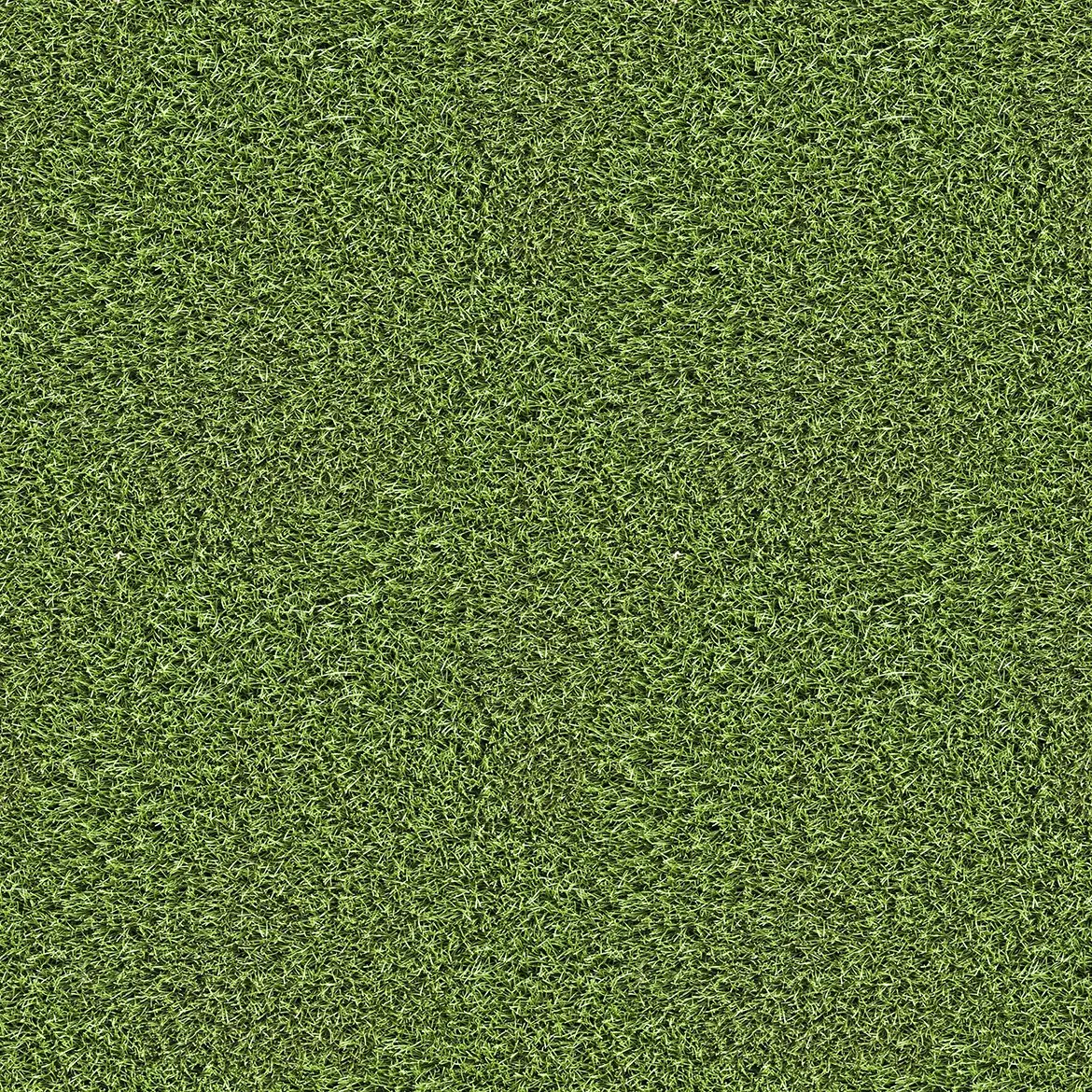 10 Grass Texture Background 10 10 grass texture background 7