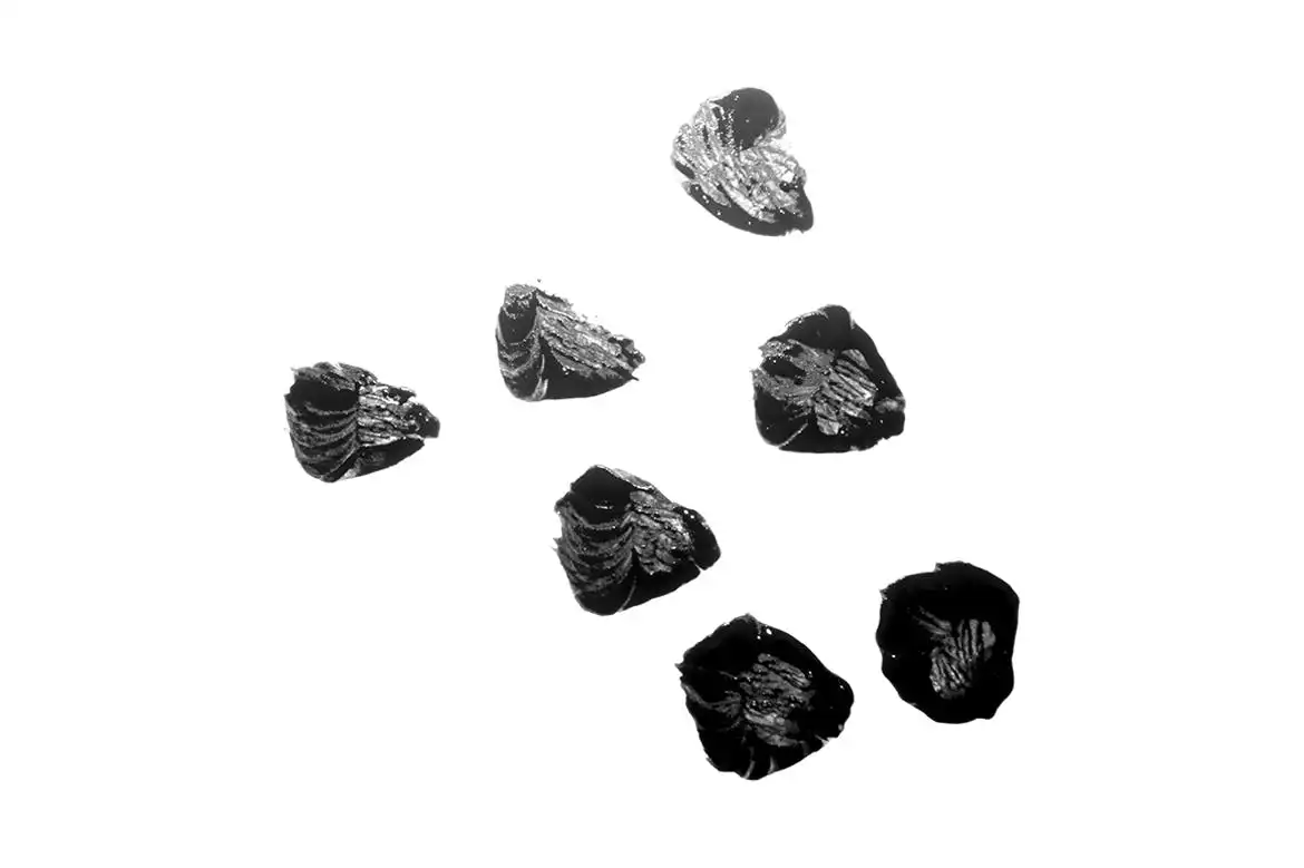 100 Essential Brush Strokes