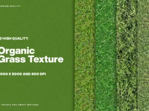 12 organic grass textures1
