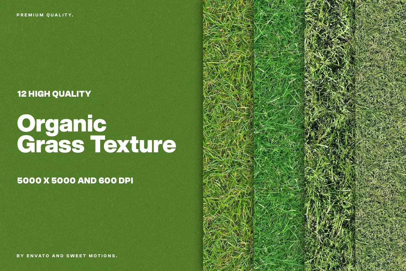 12 Organic Grass Textures
