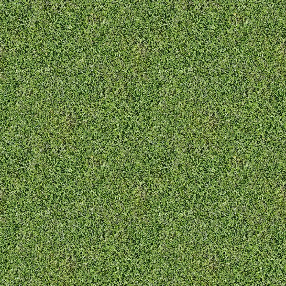 12 Organic Grass Textures 2 12 organic grass textures2