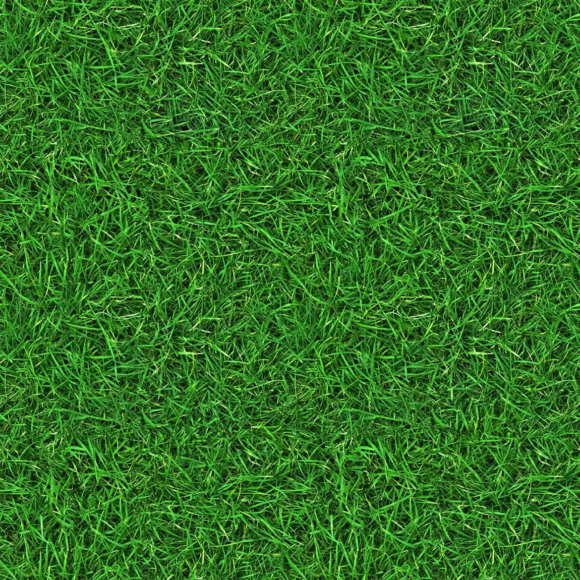 12 Organic Grass Textures 3 12 organic grass textures3