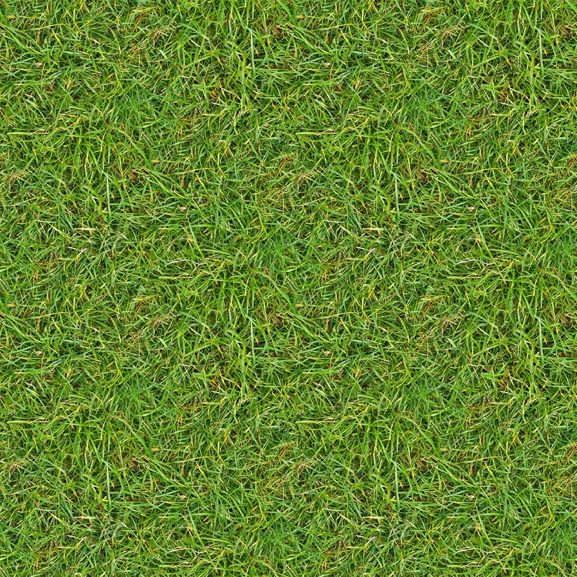 12 Organic Grass Textures 4 12 organic grass textures4