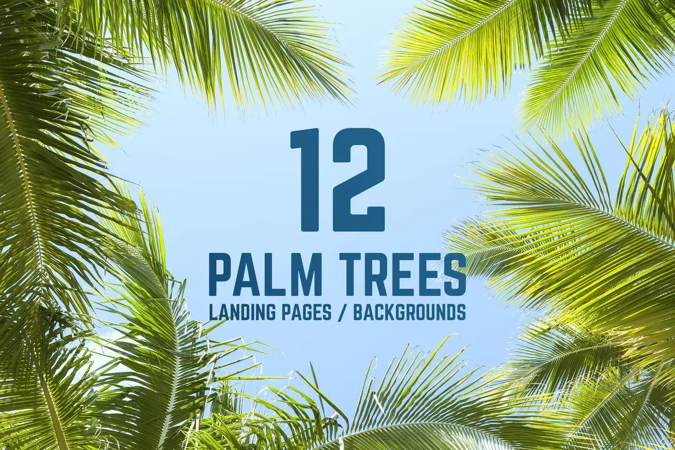 12 Palm Trees Against Blue Sky Backgrounds 5 12 palm trees against blue sky backgrounds1