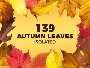 139 isolated autumn leaves01