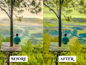 15 golden forest lightroom presets 2