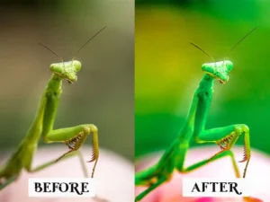 15 macro lightroom presets 2