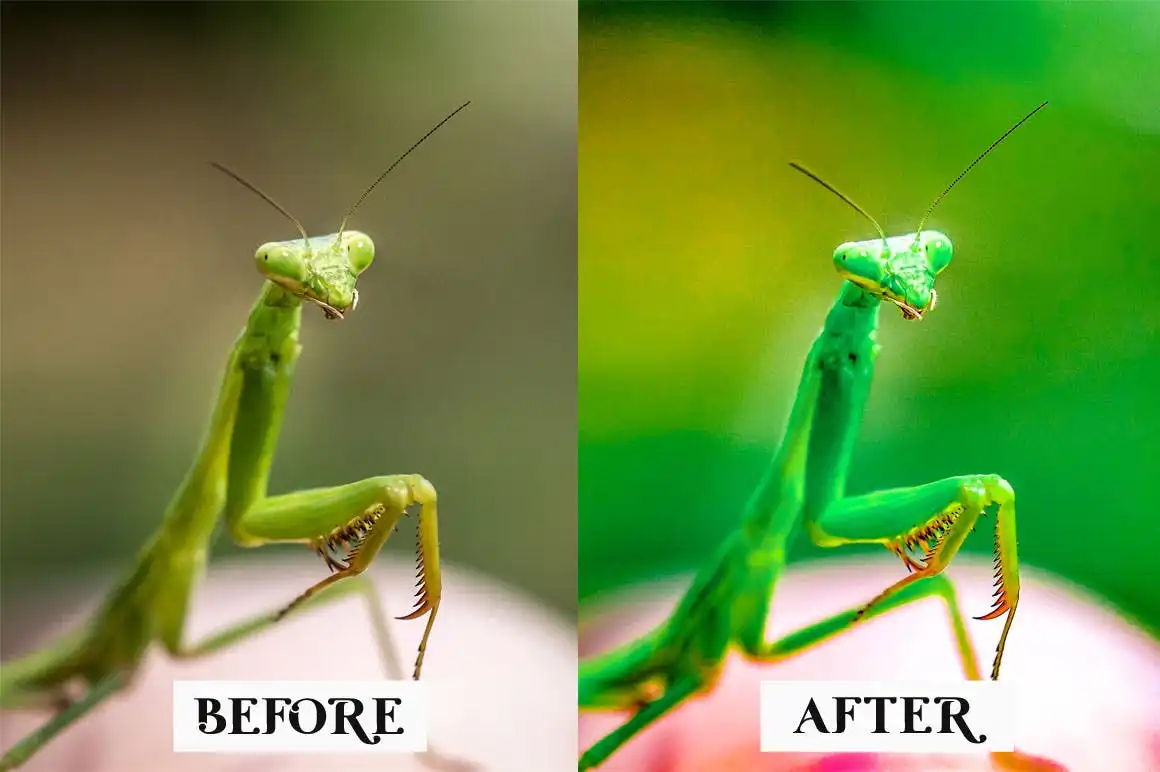 15 Macro Lightroom Presets