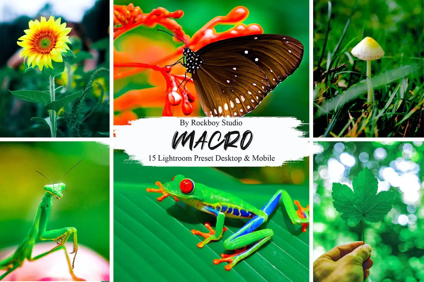 15 Macro Lightroom Presets 5 15 macro lightroom presets 3