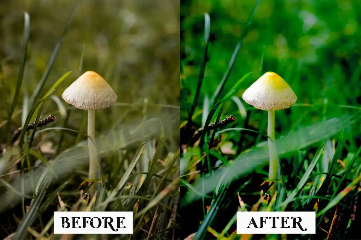 15 Macro Lightroom Presets 3 15 macro lightroom presets 4