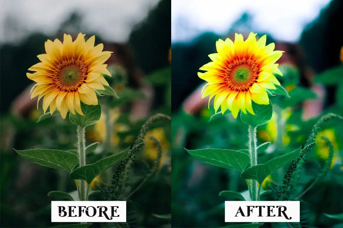 15 Macro Lightroom Presets 4 15 macro lightroom presets