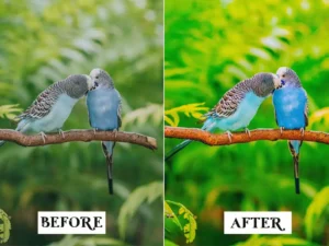 15 tropical lightroom presets 3