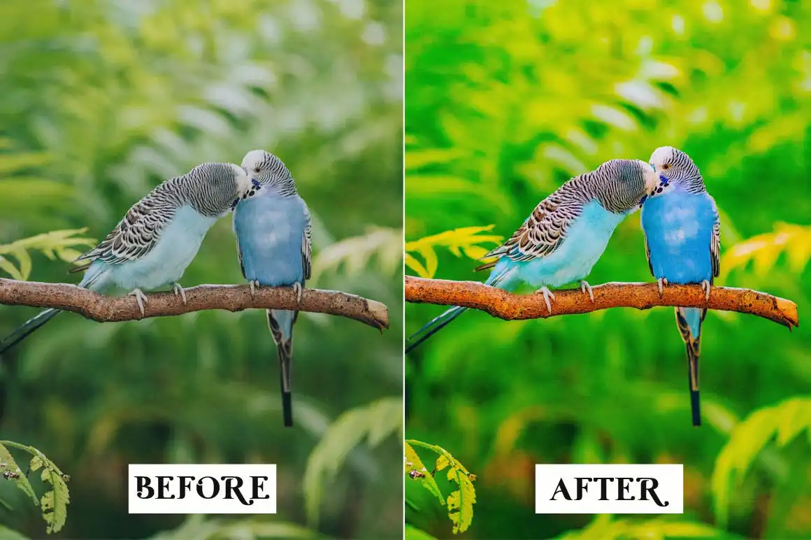 15 Tropical Lightroom Presets