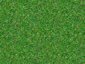 15 grass textures2 1