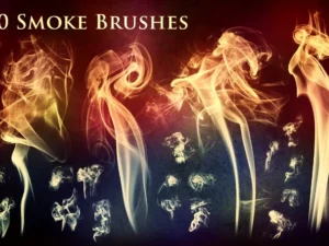 1500 brushes megapack02