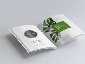 165 brochure mock ups big bundle03
