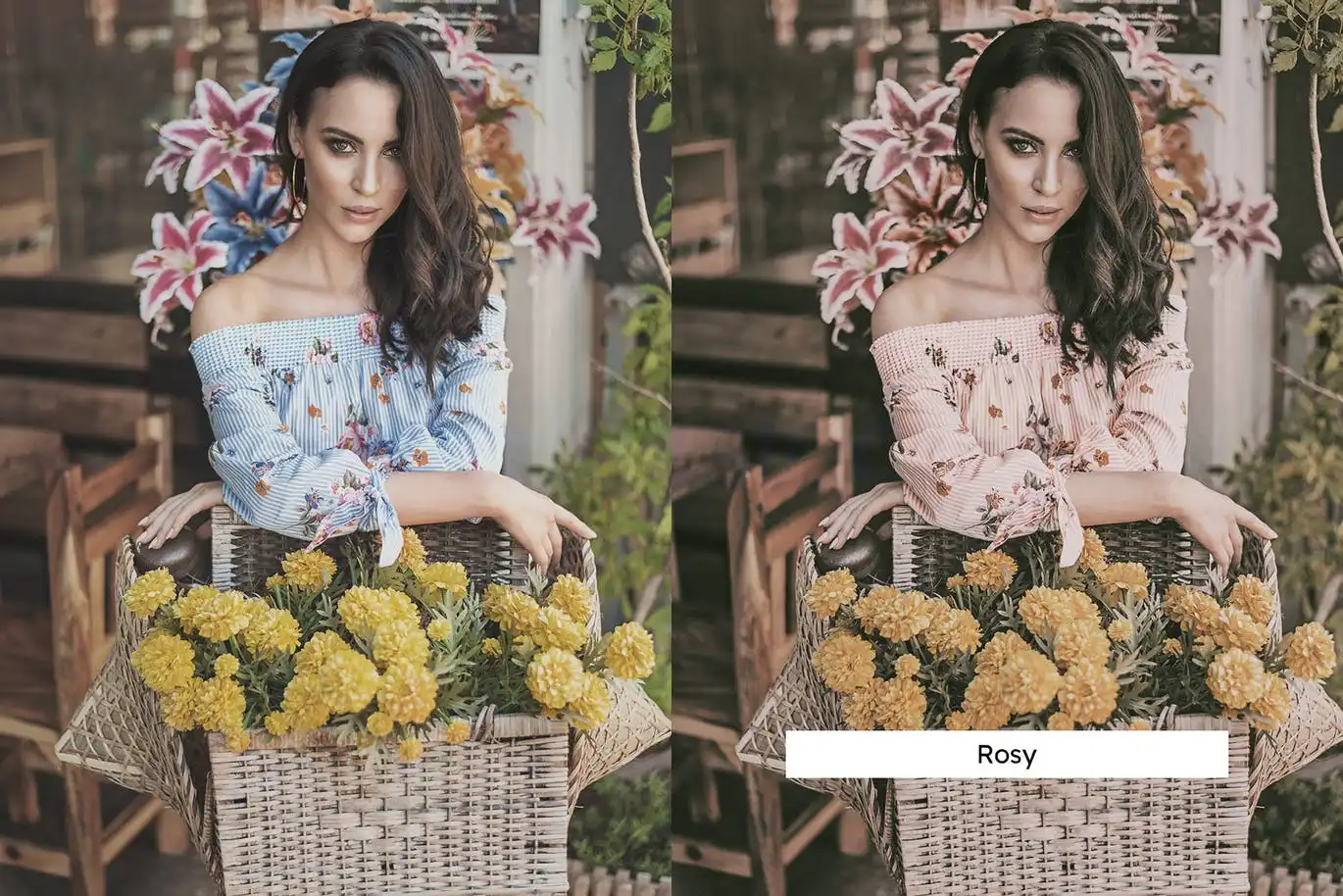20 Apricot Lightroom Presets & Luts 9 20 apricot lightroom presets luts 9