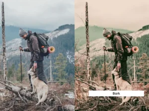 20 brown and green lightroom presets and luts 8