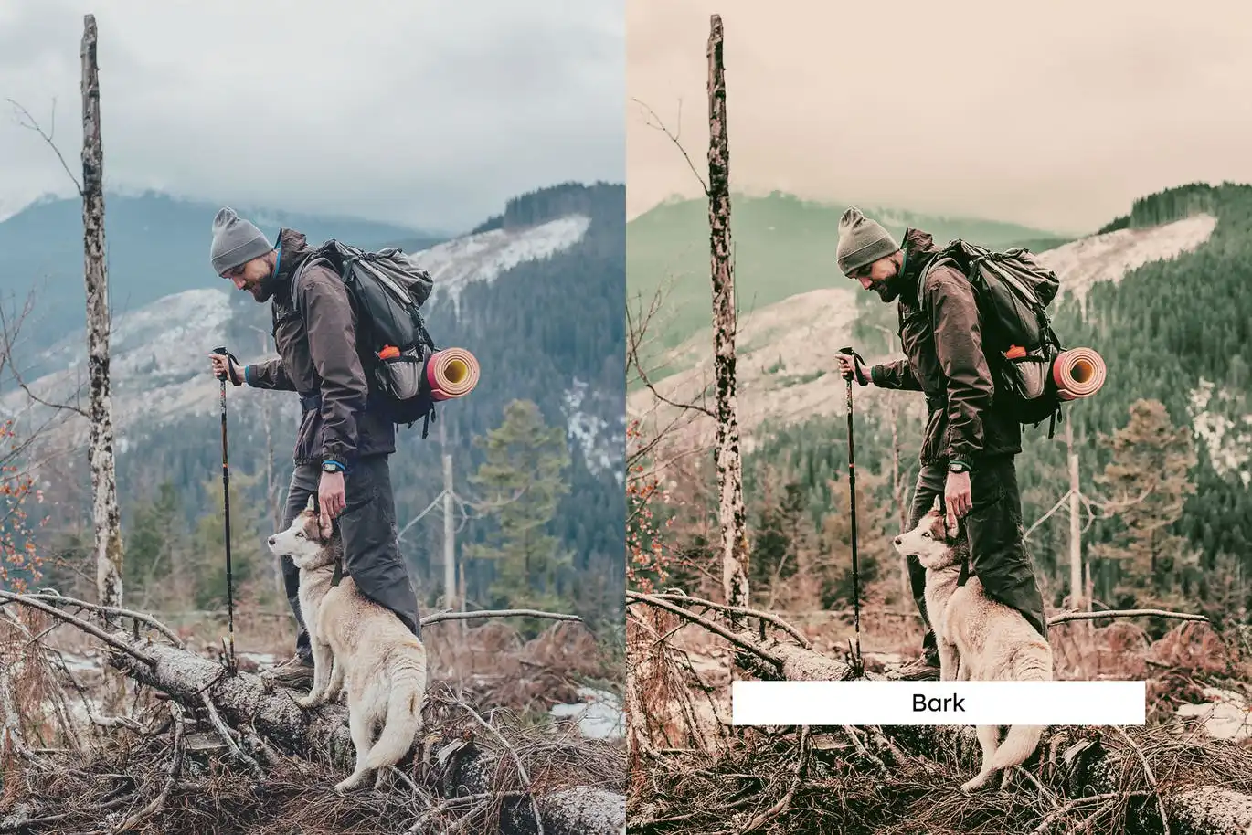20 Brown And Green Lightroom Presets And Luts