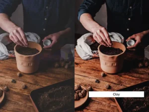 20 gardening lightroom presets luts 8