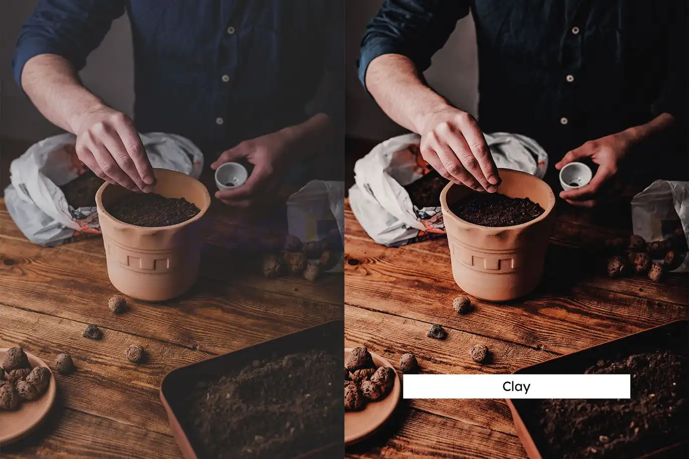 20 Gardening Lightroom Presets &amp; Luts
