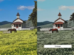 20 meadow lightroom presets and luts 9