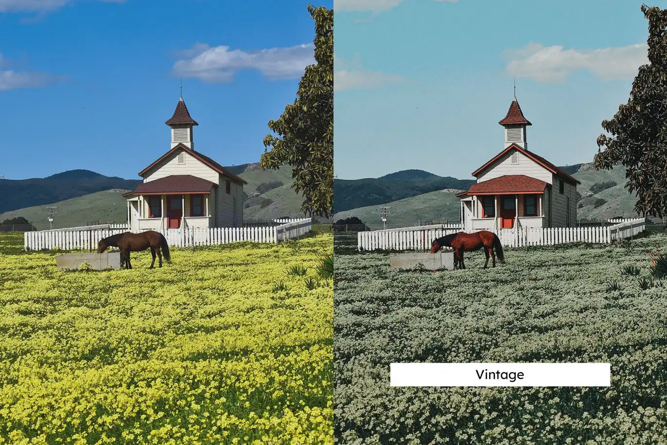 20 Meadow Lightroom Presets And Luts