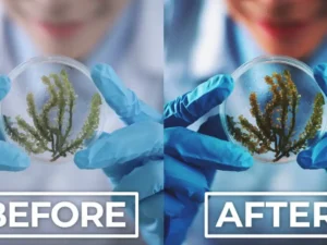 20 nano color lightroom presets luts 2
