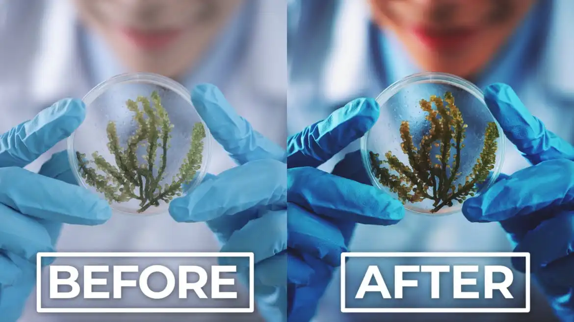 20 Nano Color Lightroom Presets + Luts