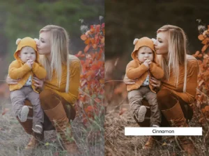 20 pumpkin spice lightroom presets and luts 2