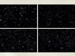 20 dust particles overlays2