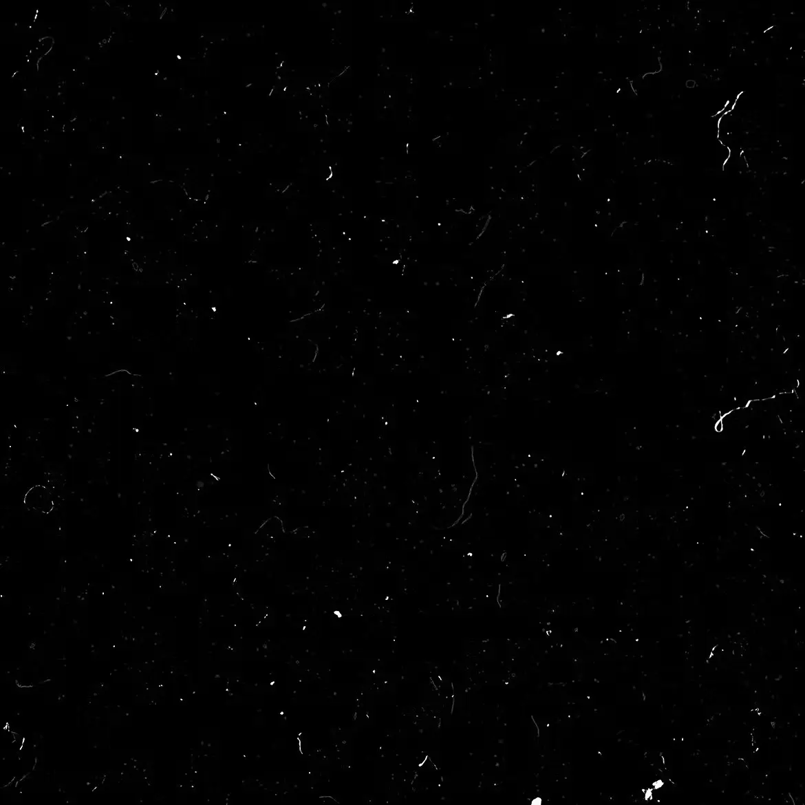 20 Film Damage Noise Texture 2 20 film damage noise texture2