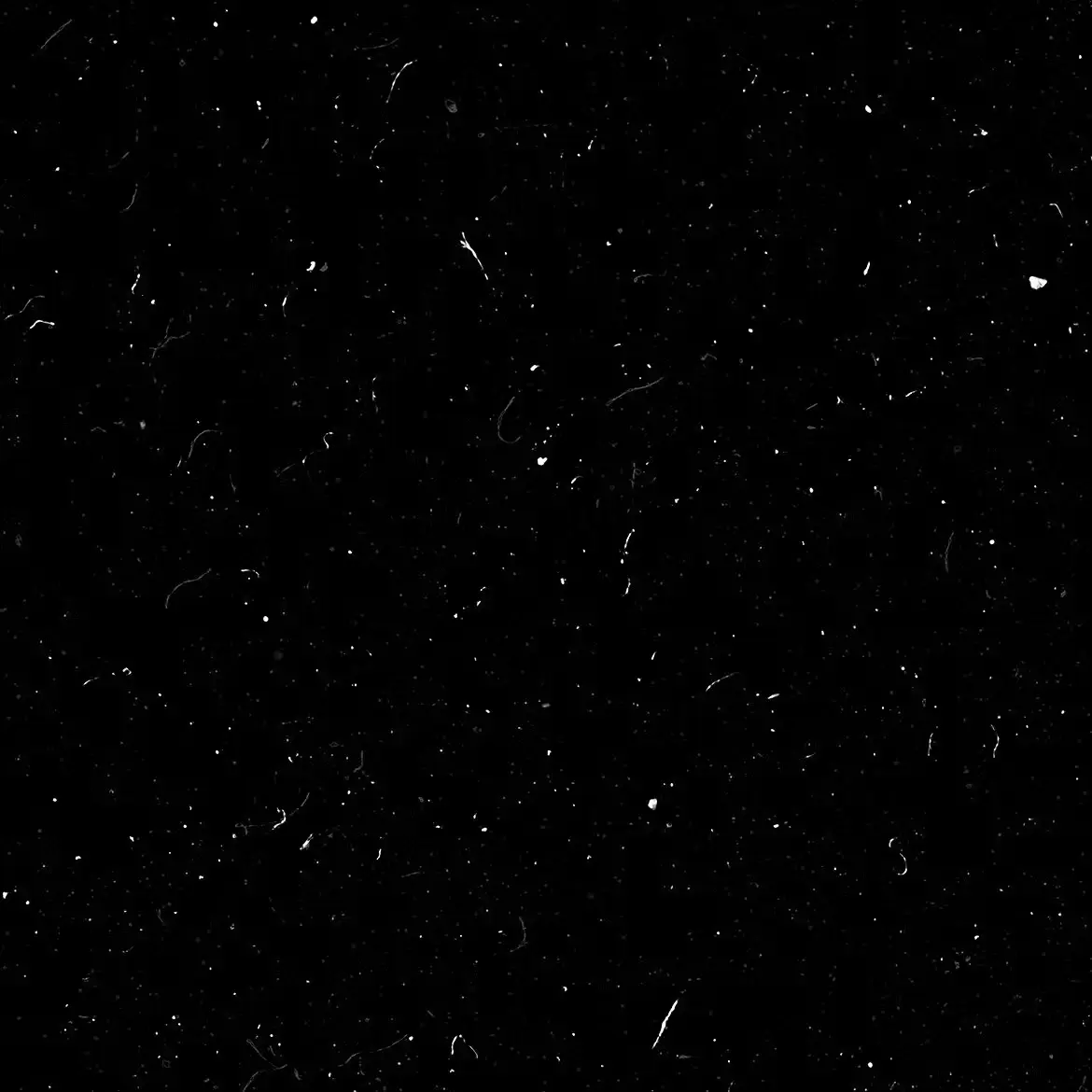 20 Film Damage Noise Texture 4 20 film damage noise texture4