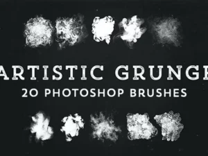 20 grunge artistic brushes1