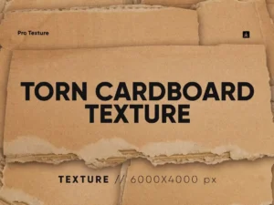 20 torn cardboard textures1