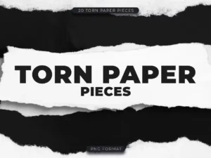20 torn paper pieces1 1