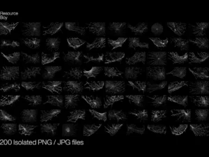 200 spider web textures 2