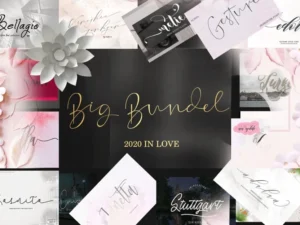 2020 in love bundel