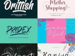 21 fonts bundle