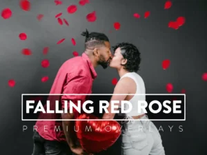 30 falling red rose overlay