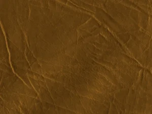 30 leather photoshop stamp brushes 4