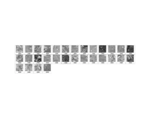 30 marble ink photoshop brushes vol