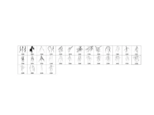 30 storm lightning ptohoshop stamp brushes 2