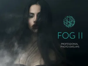 30 fog photo overlays 201