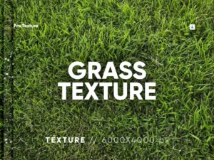 30 grass texture hq1