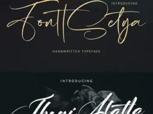 302 fonts all in collection