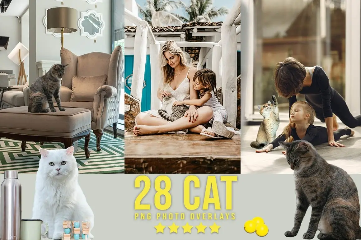 3300+ Photo Overlays Bundle+FREE Act 14 3300 prolific overlays bundle13