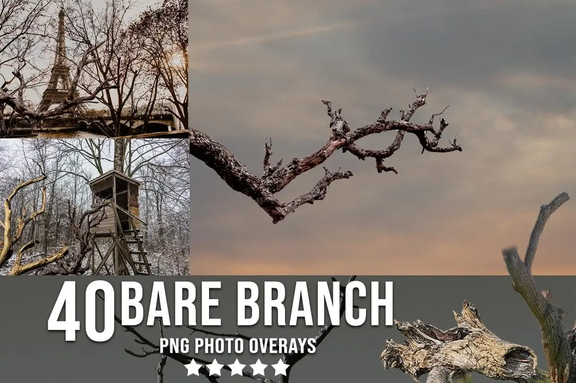 3300+ Photo Overlays Bundle+FREE Act 16 3300 prolific overlays bundle15