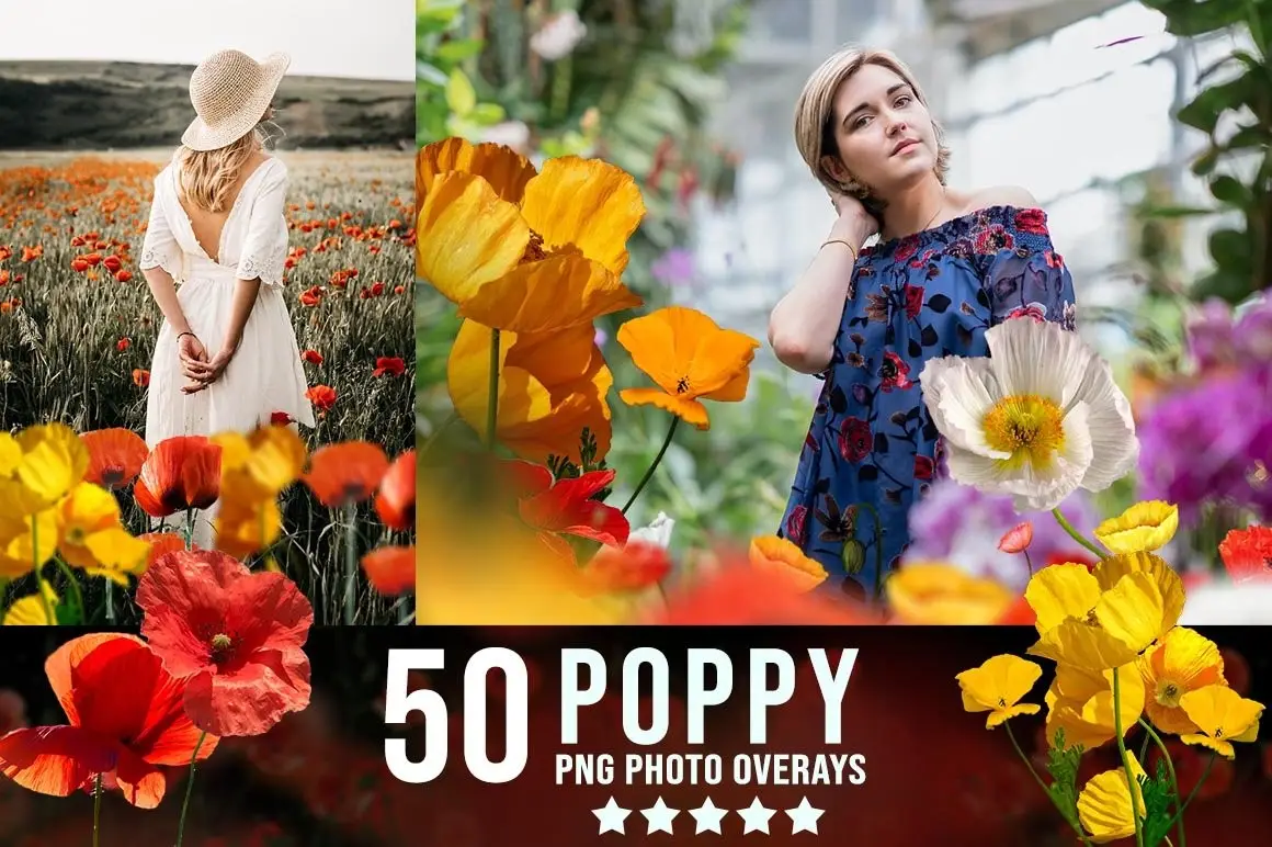 3300+ Photo Overlays Bundle+FREE Act 17 3300 prolific overlays bundle16
