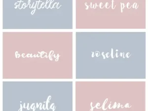 40 handwritten script fonts collection vol 2